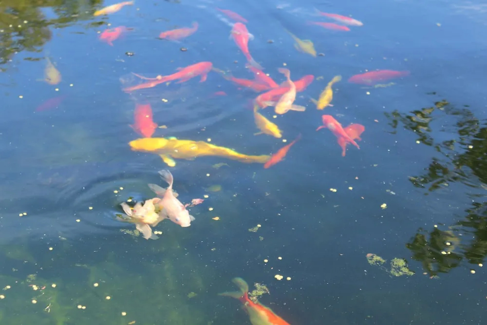 The Beach Sun Retreat