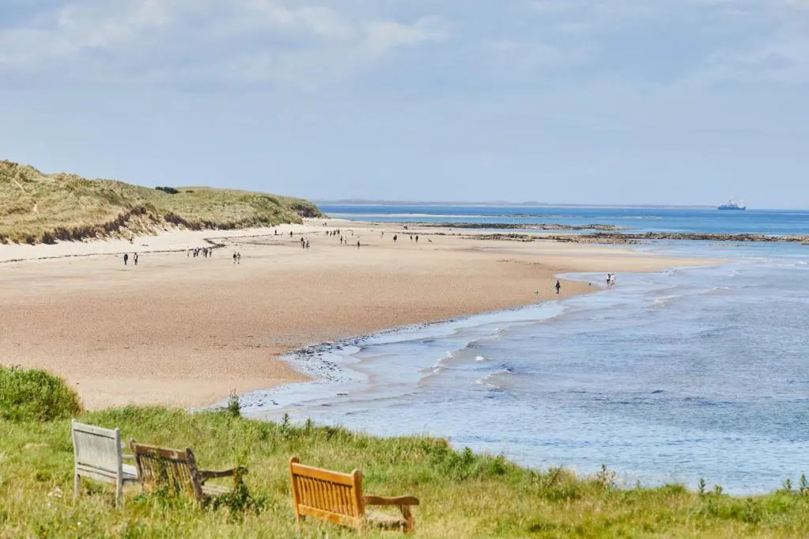 Host Stay The Puffins Nest