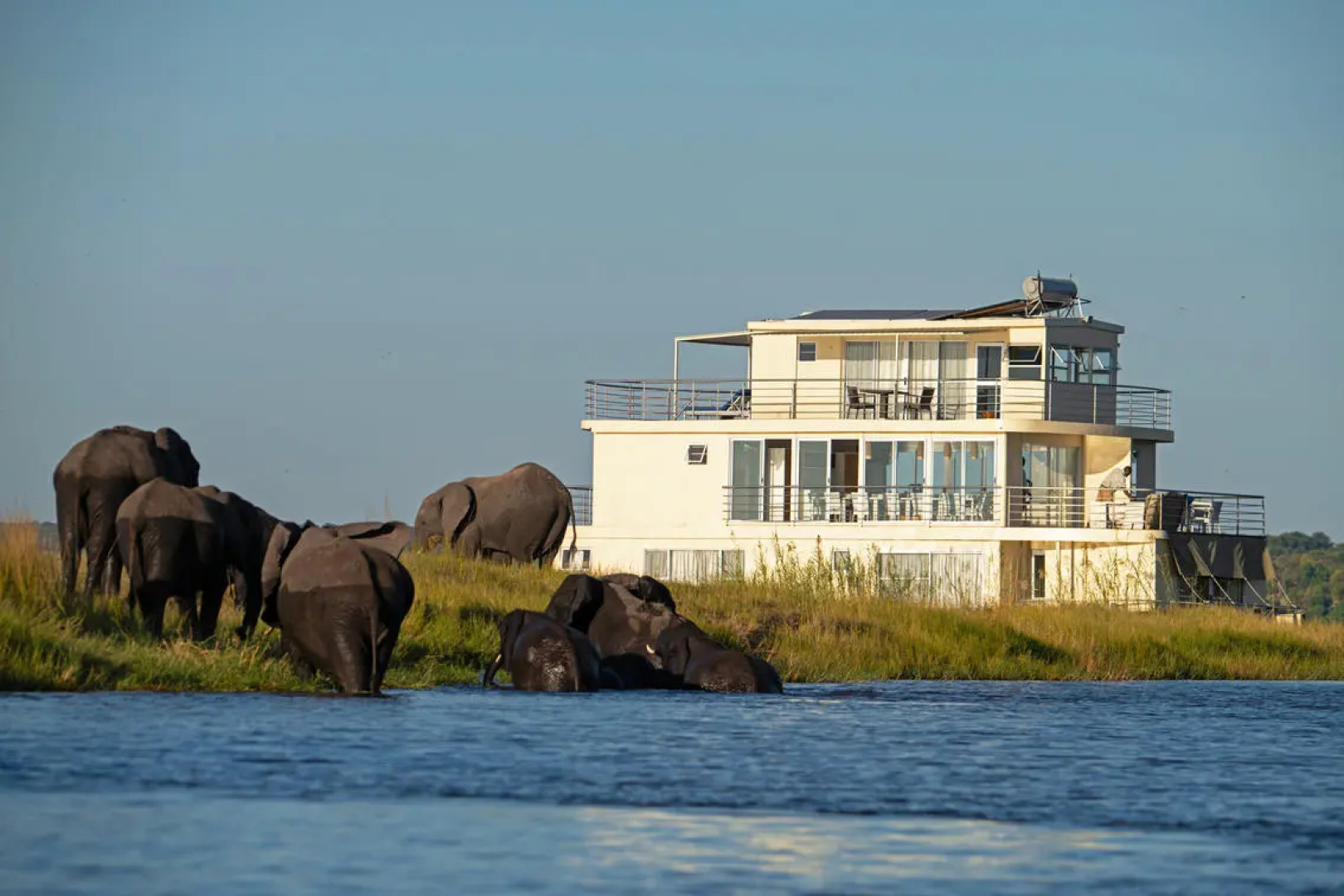 Chobe Princesses by Mantis