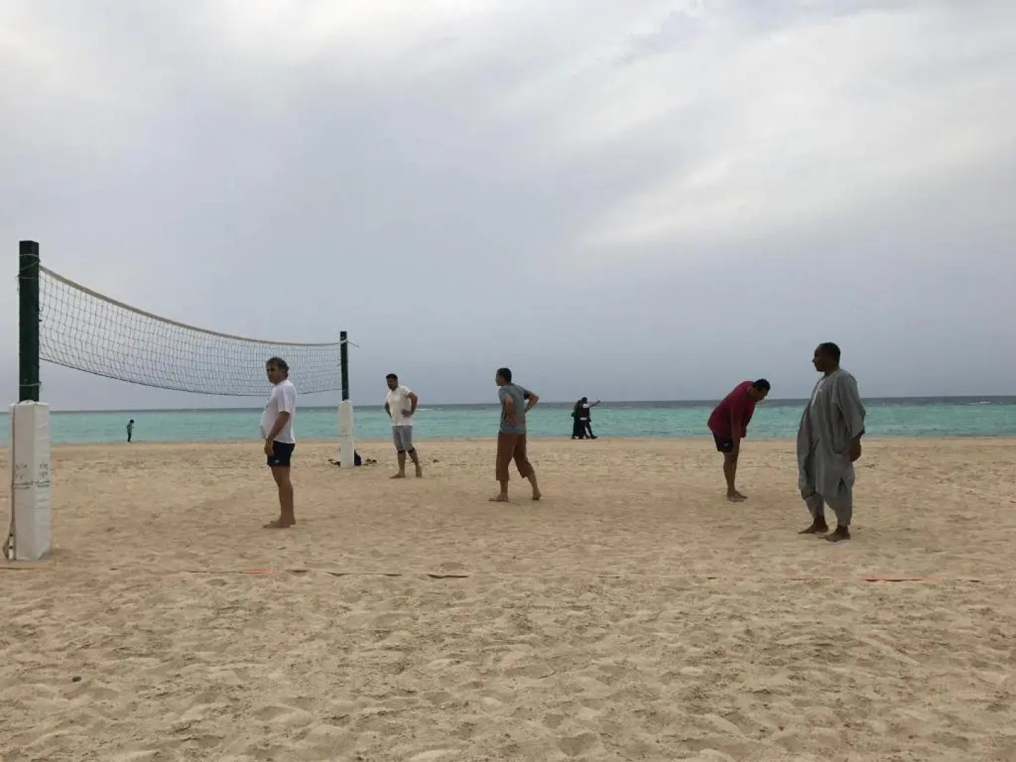 شقة البحر البيلسان