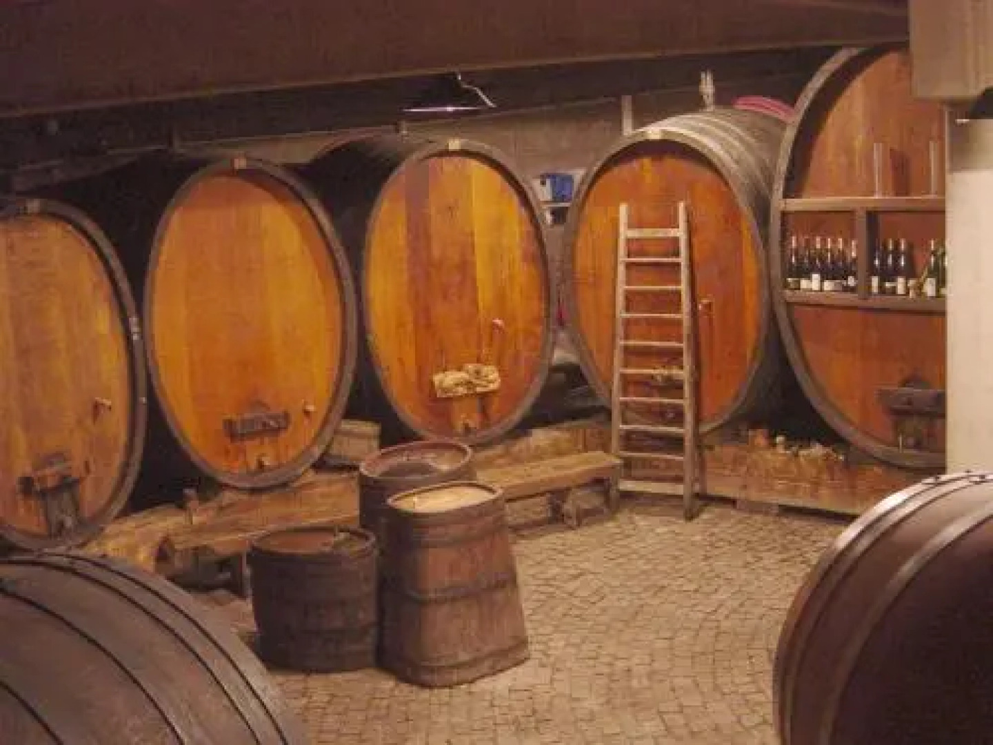 Eco-Logis du Vignoble