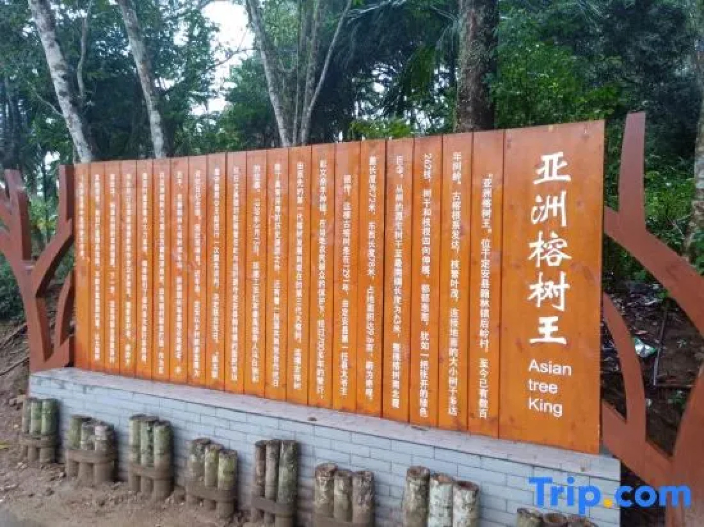 Homeinn Pebble Hotel (Jianlong Avenue)