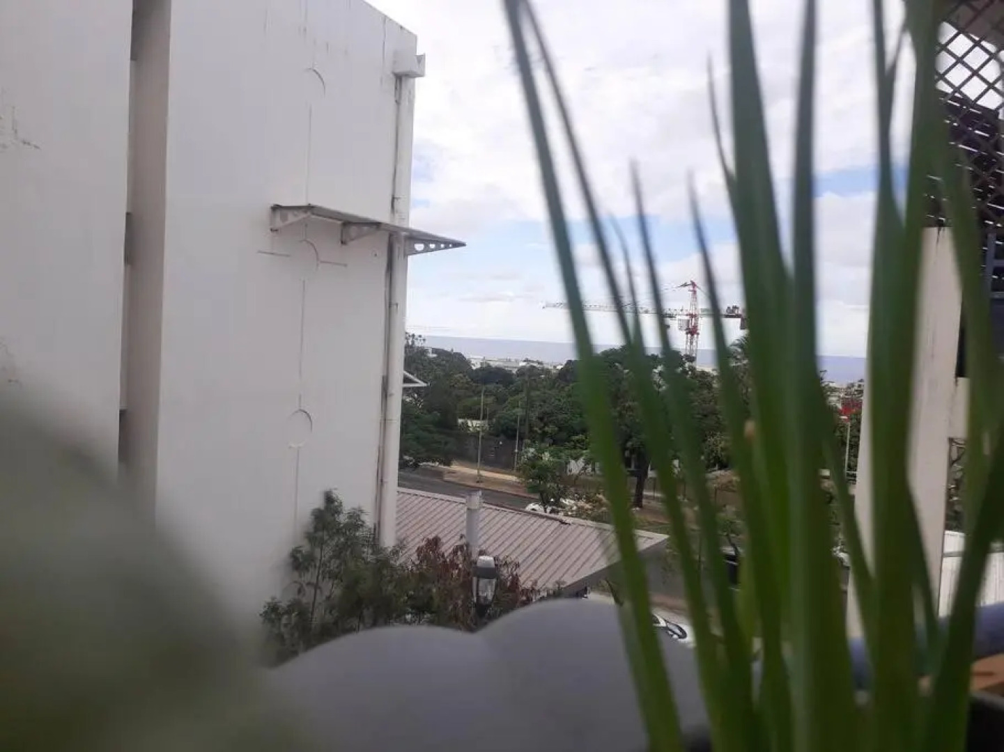 Zarlor magnifique t2 rénové proche clinique