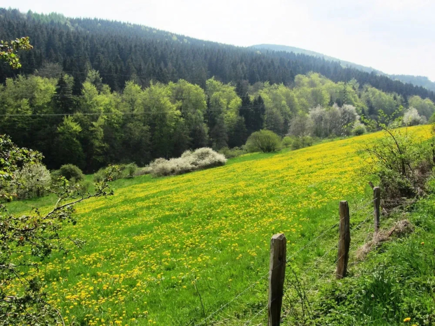 Beautiful Villa with Garden near Ski Area in Kustelberg