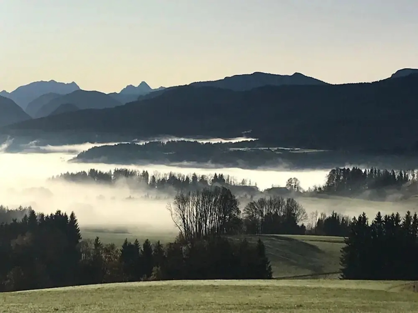 Bergwiesen - Studio House