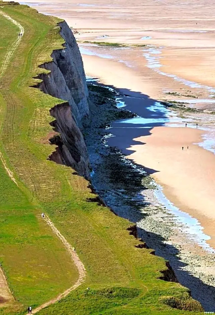 Chambres d'Hôtes "Les Pins"