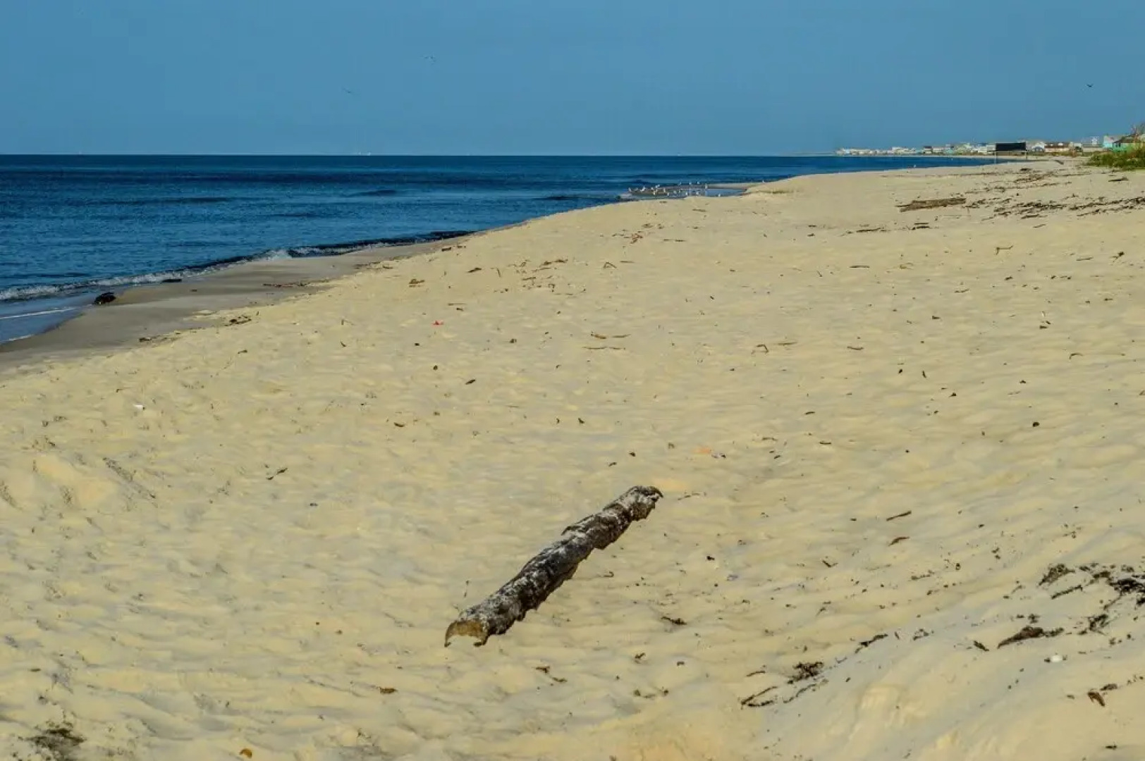 The Rookery III Unit 7024