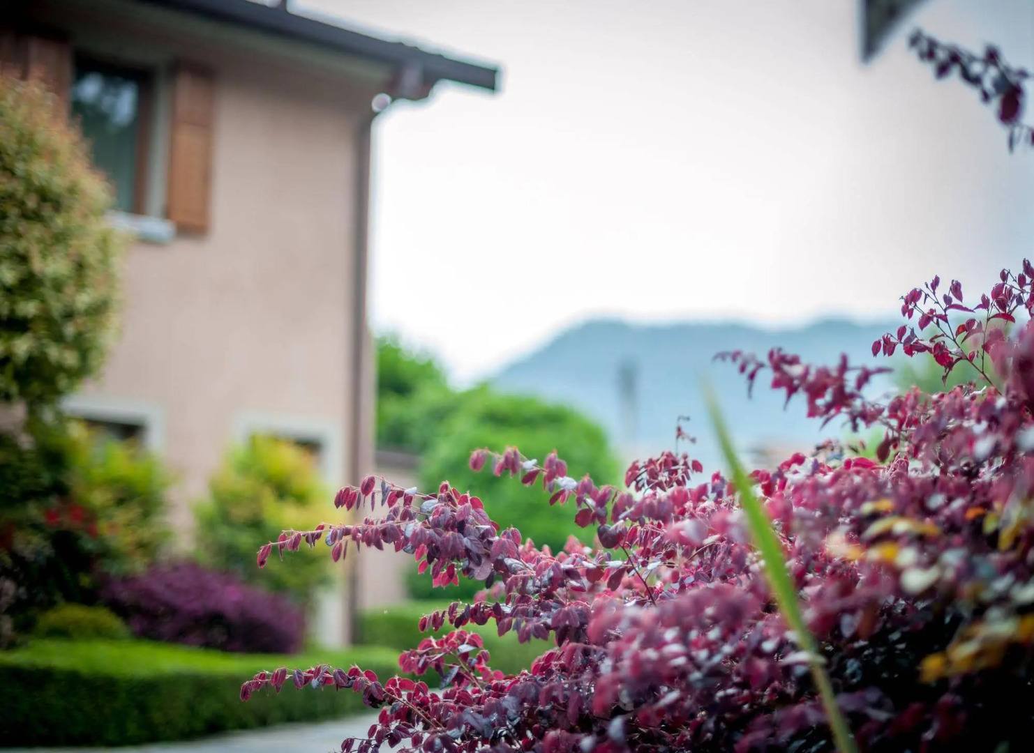 1711 Ti Sana Detox Retreat & SPA