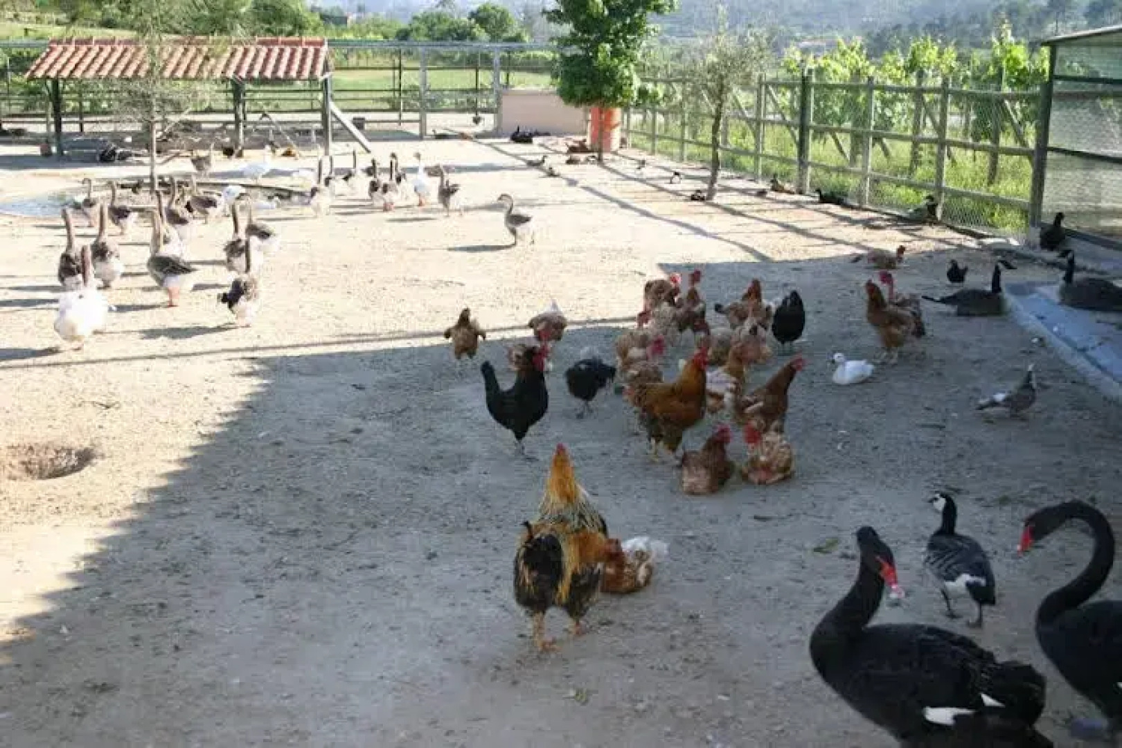 Vale de Rans - Turismo Rural