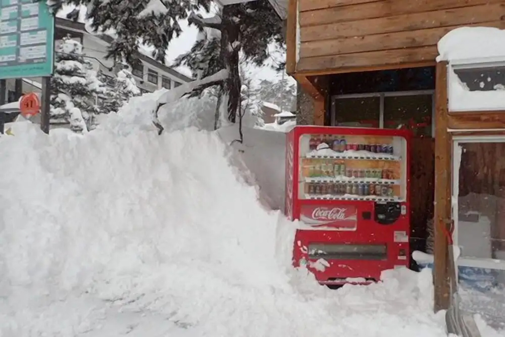 Hakuba Cortina Backpackers - Hostel