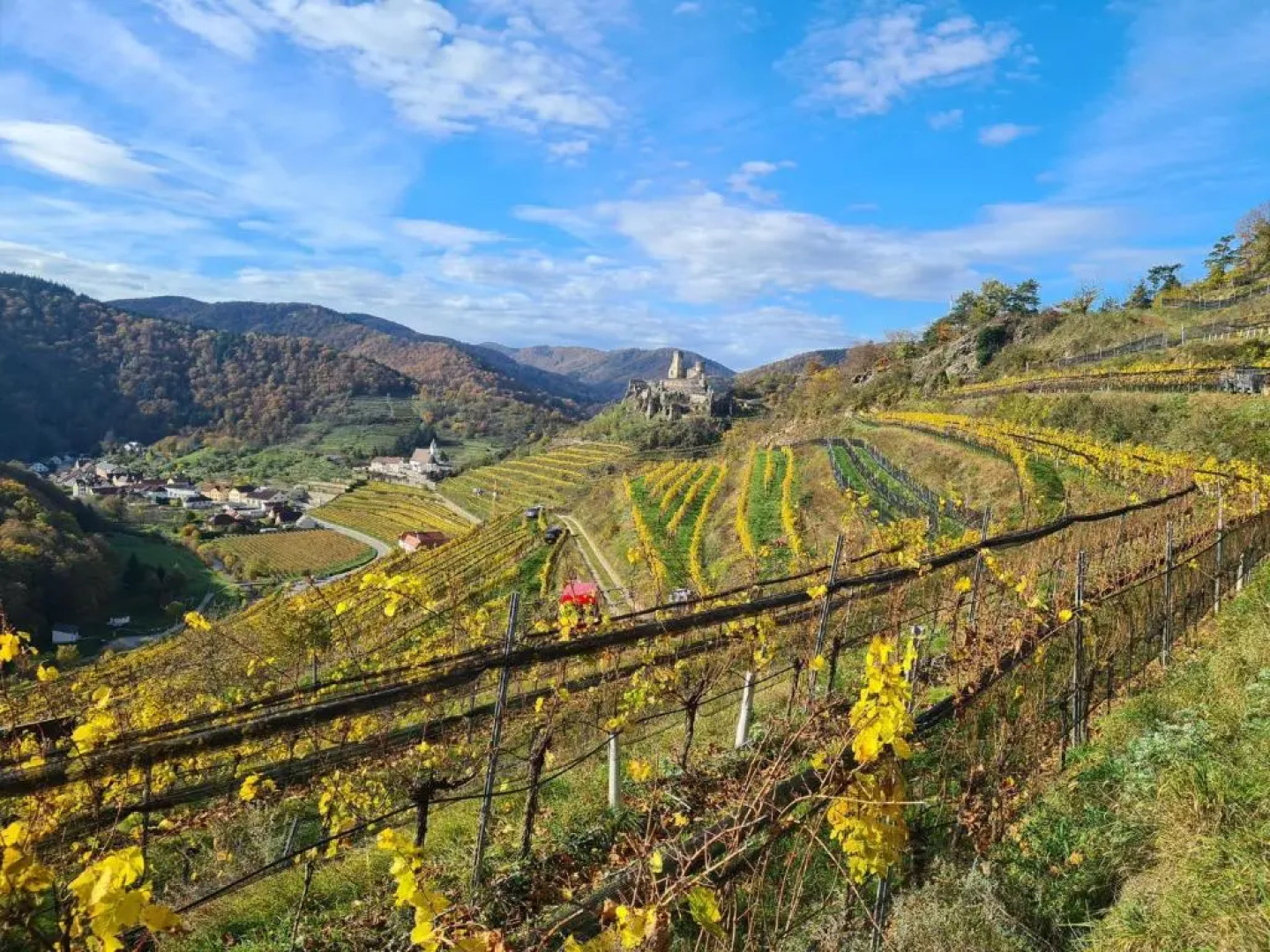 Gasthof-Pension Leopold Janu