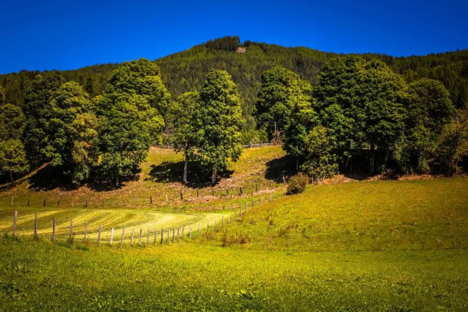 Apartment Schlickenhof