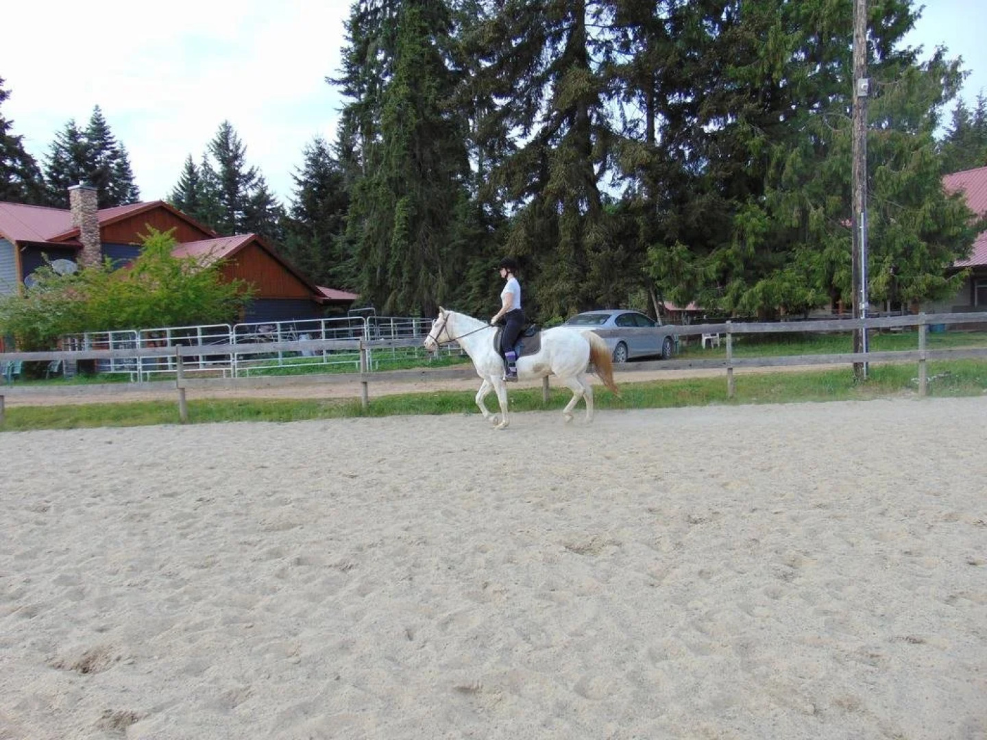 Paradise Acres Ranch