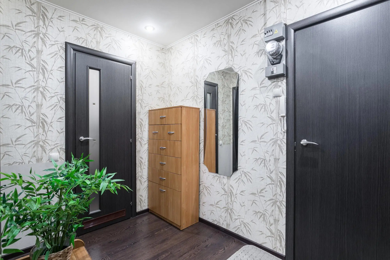 Морошка на проспекте Дачный