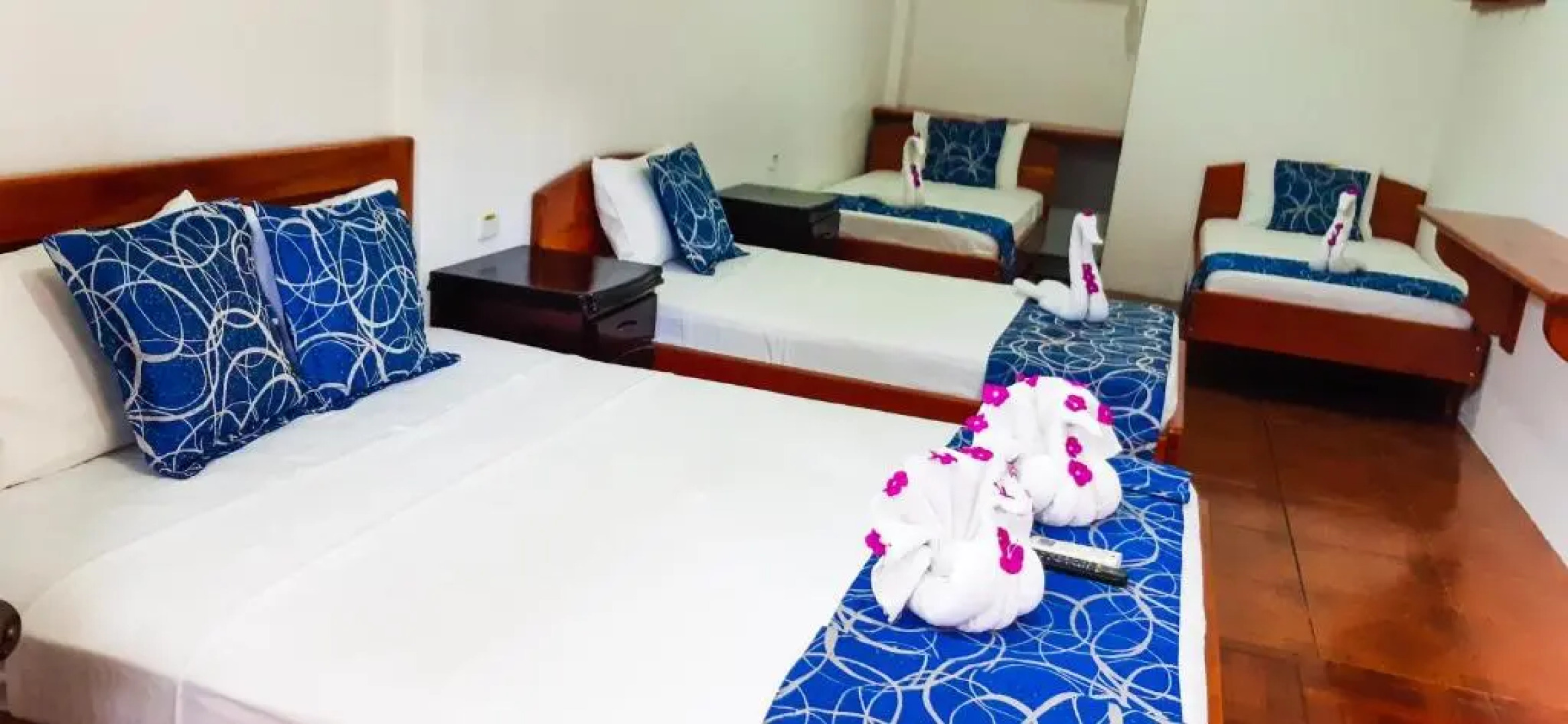 La Mirada De Solitario George