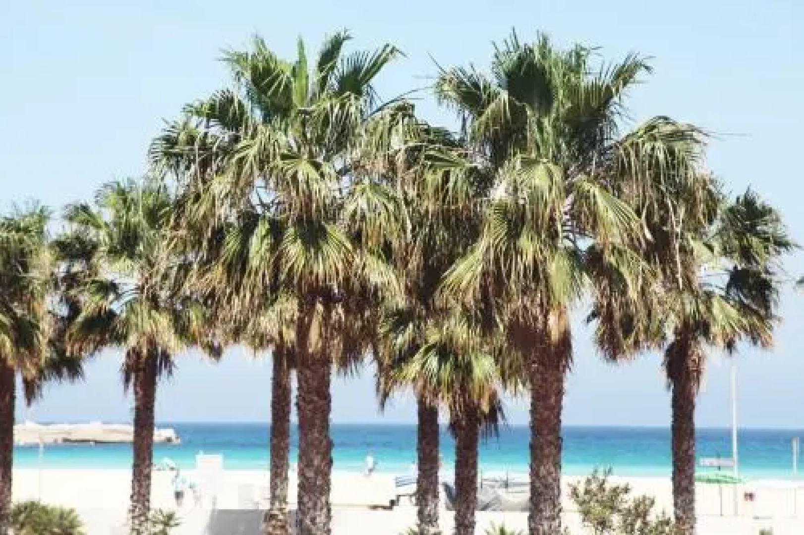 Voglia di mare Low cost/Mapo-Tamarindo