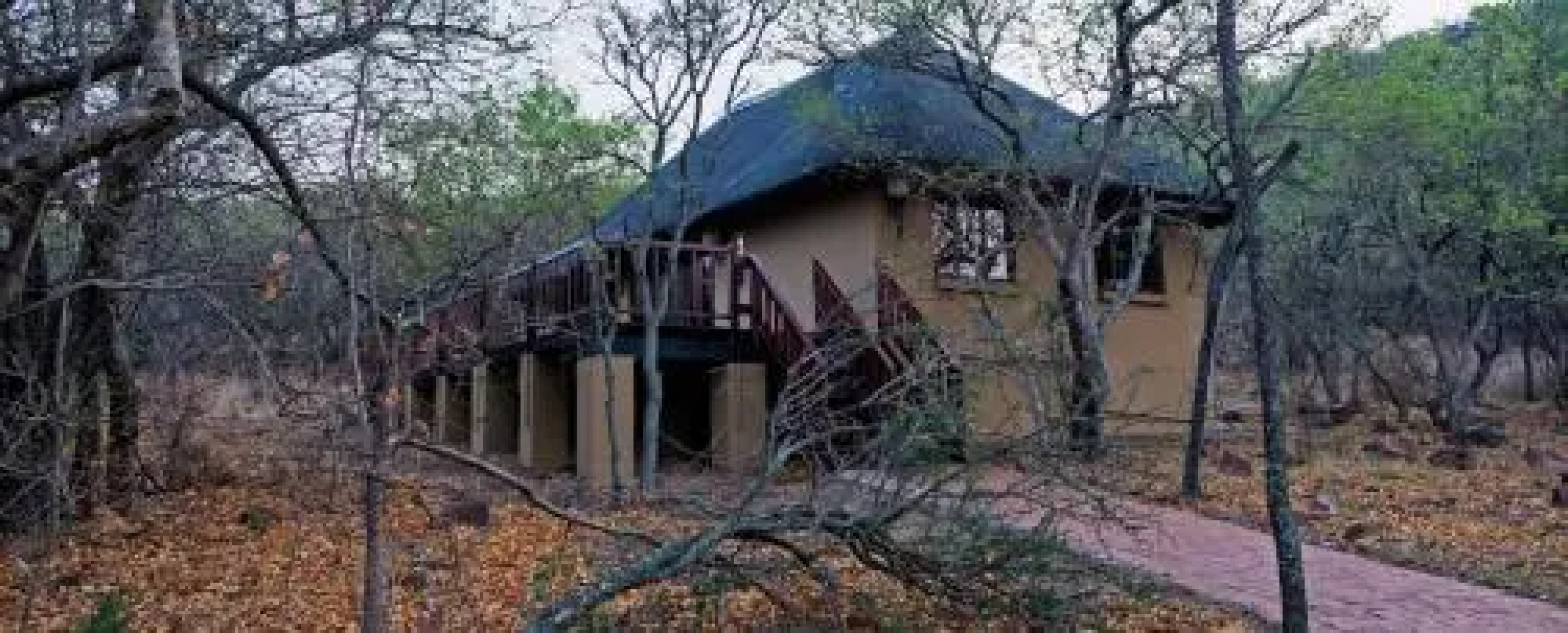 Izapa Bush And Game Lodge