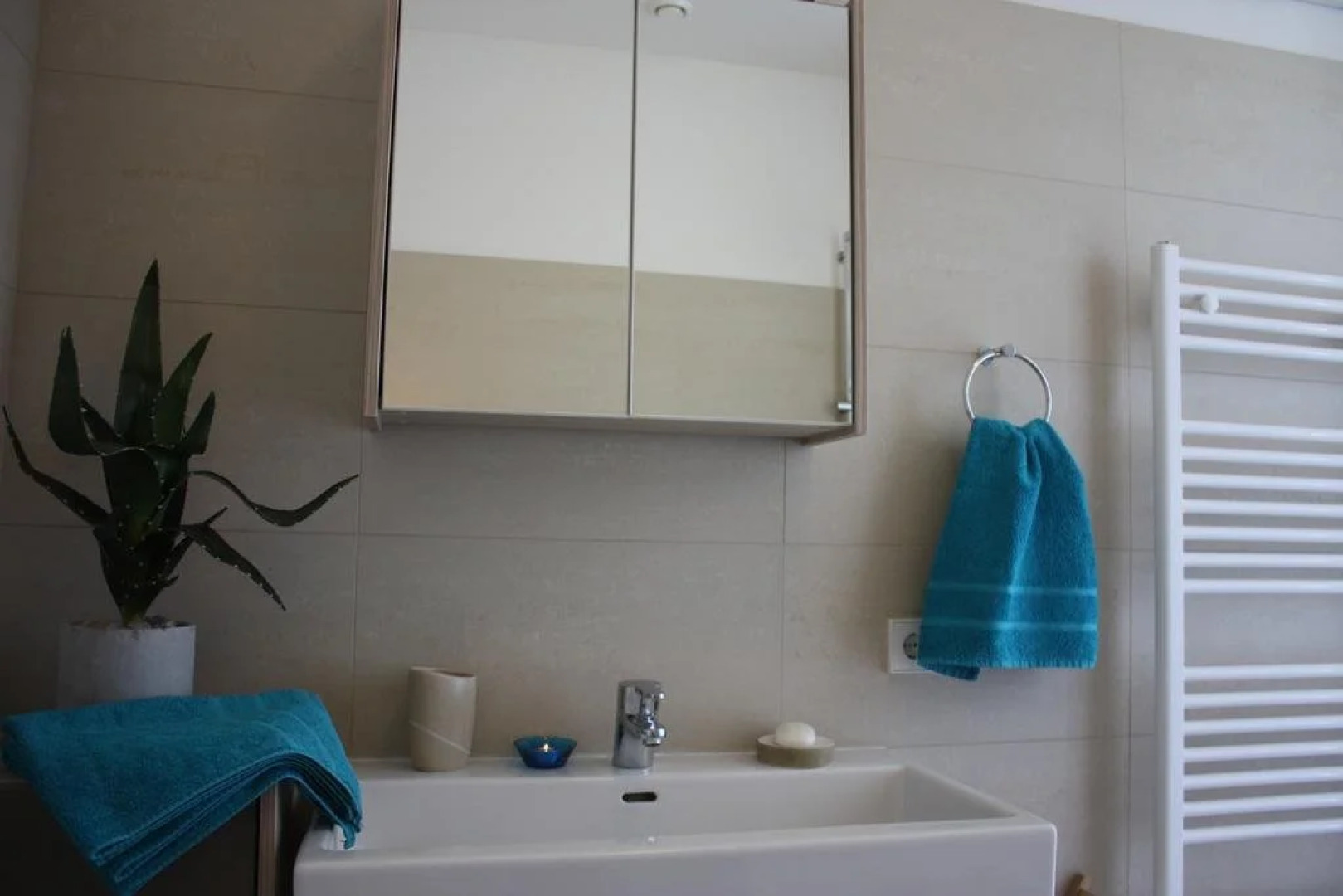 Apartment Parkvilla Traunsee