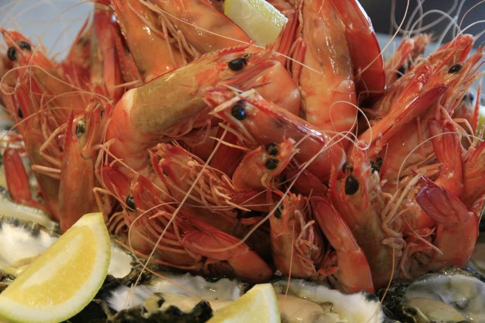 Mansfield on the Manning