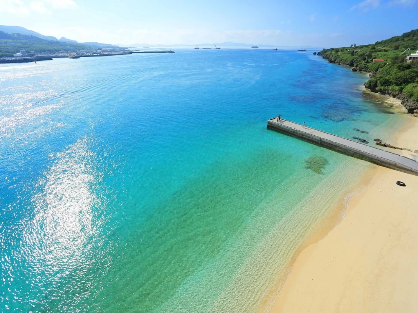 Matayoshi Coffee Farm