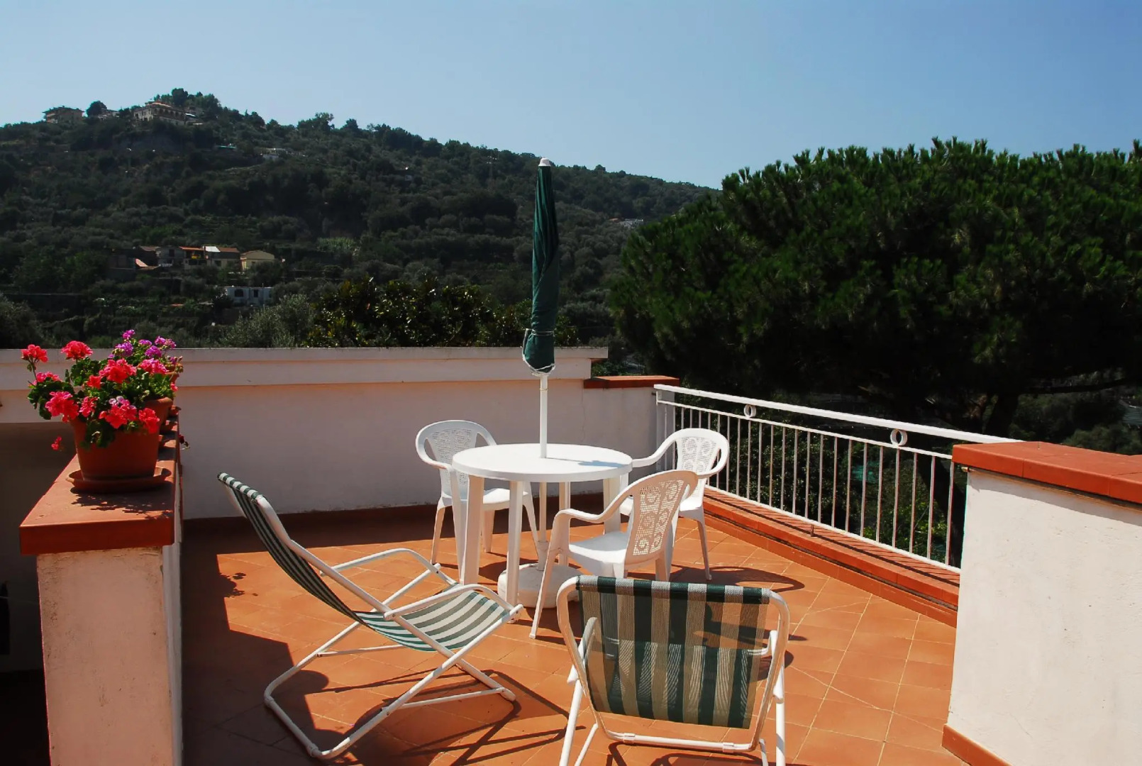 Old Farmhouse Set In A Citrus Grove