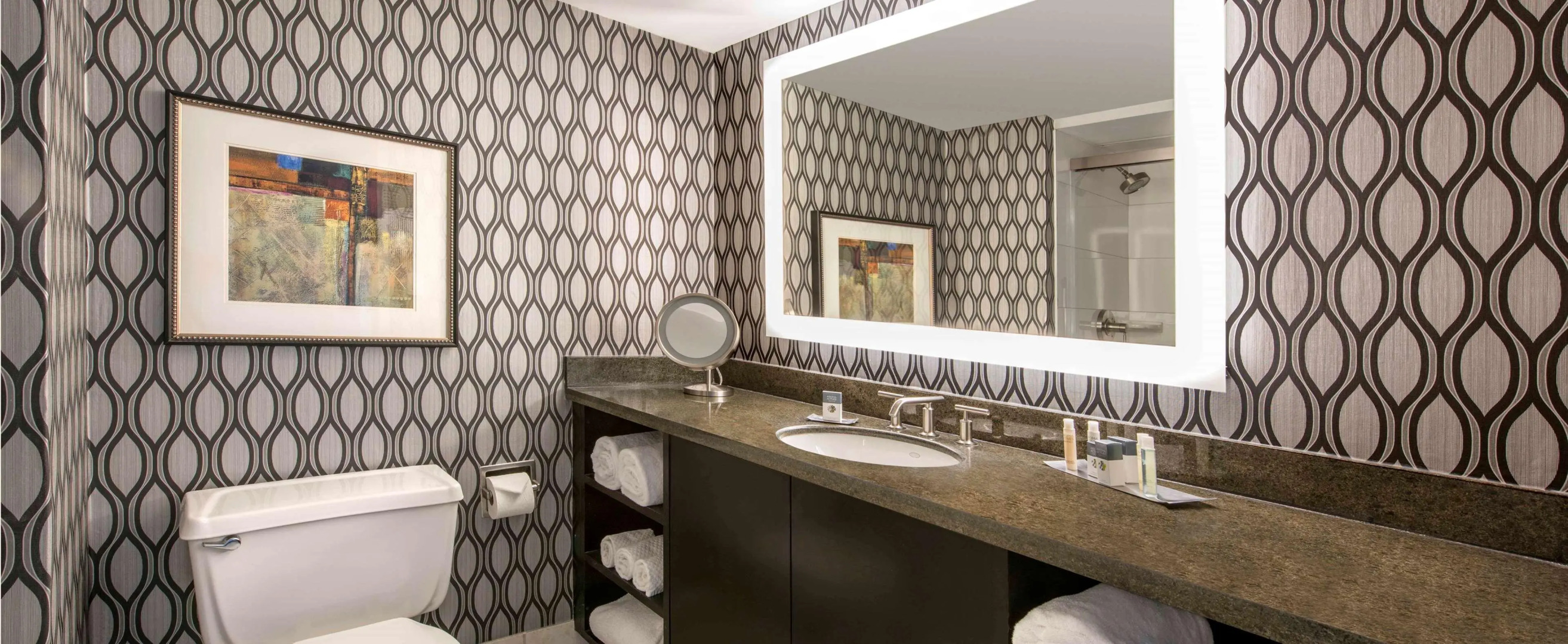 DoubleTree by Hilton Chicago Schaumburg