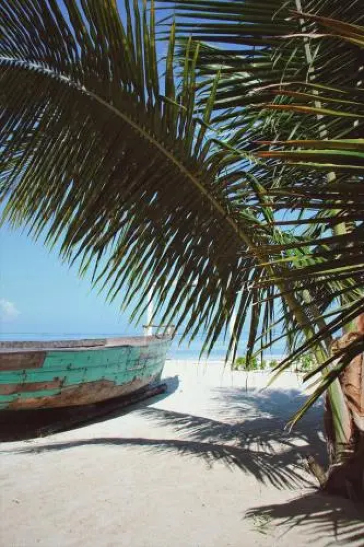 Отель Sofia Sea View