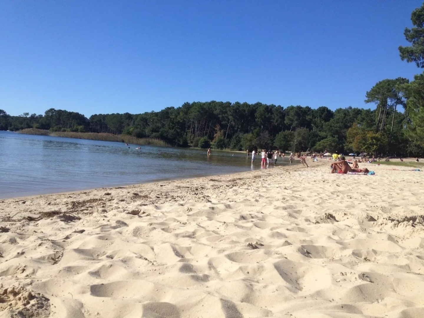 House With 2 Bedrooms in Sanguinet, With Enclosed Garden - 20 m From t