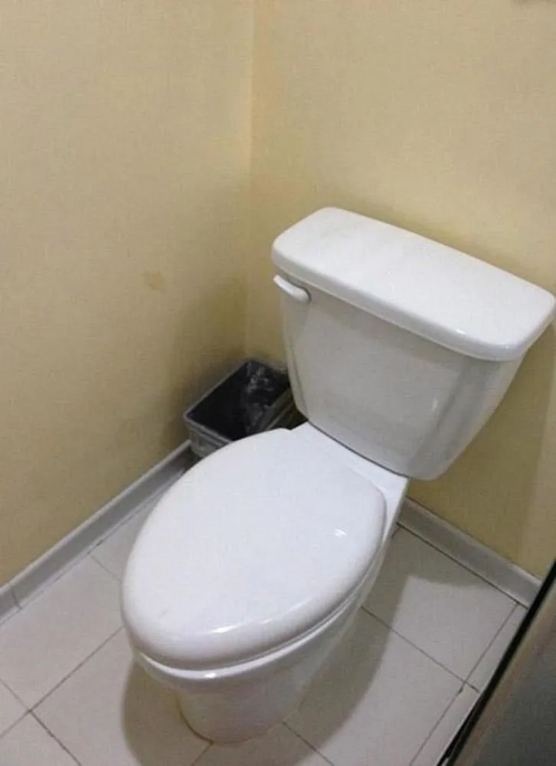 Hanting Premium (Tianjin Nankai University)