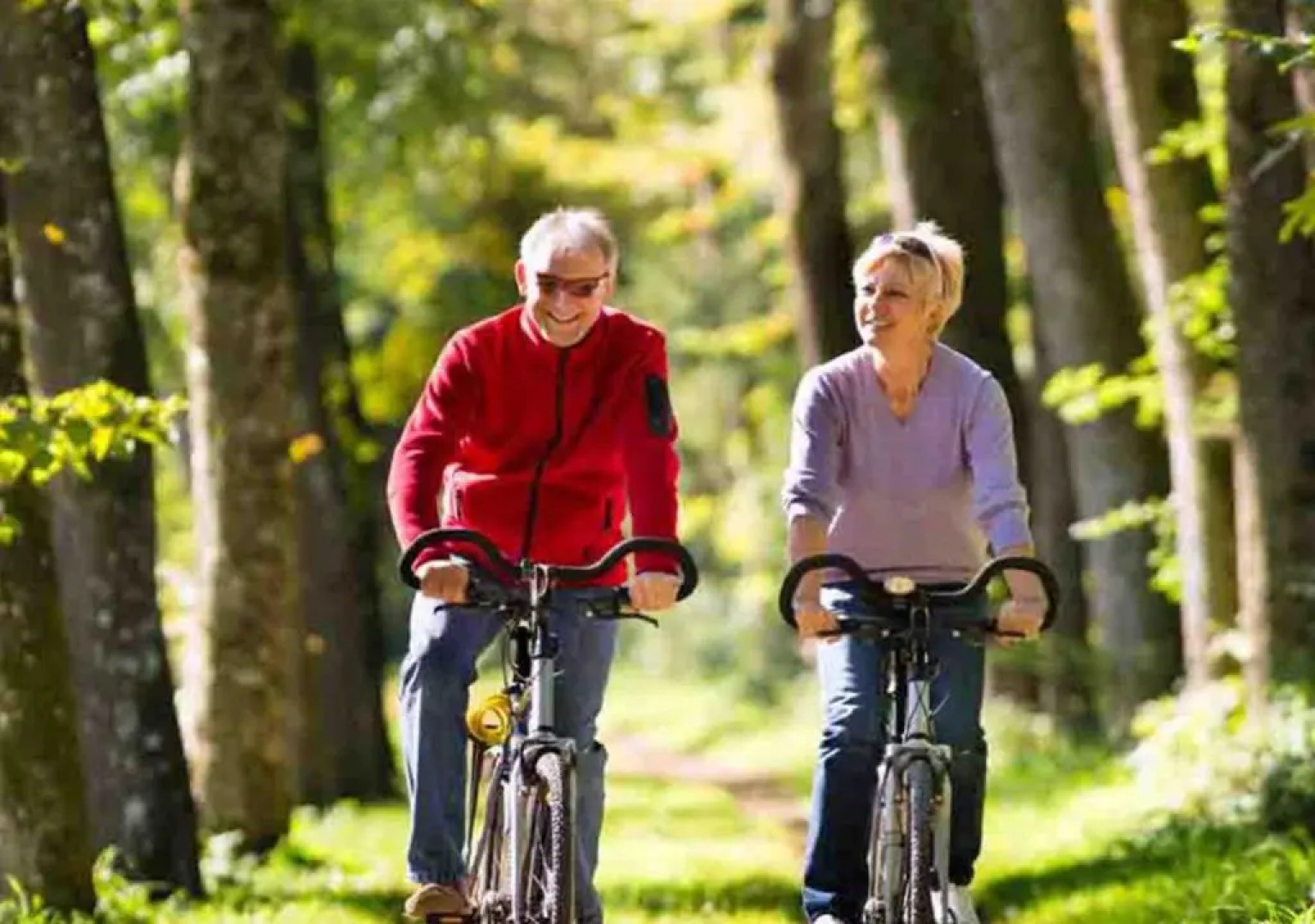Hotel De Vrije Vogel