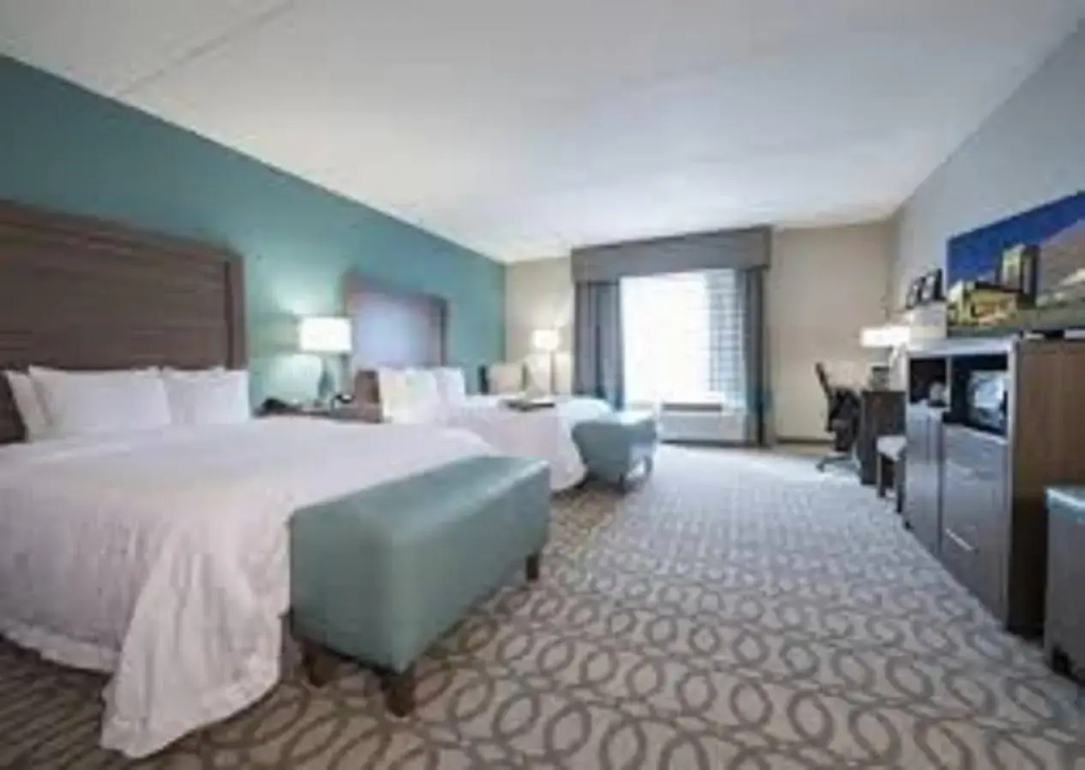 Hampton Inn Greenville/I-385 Haywood Mall