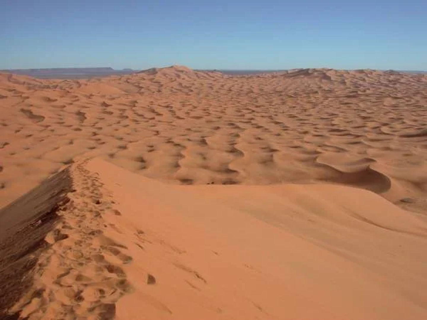 Maison Merzouga Guest House