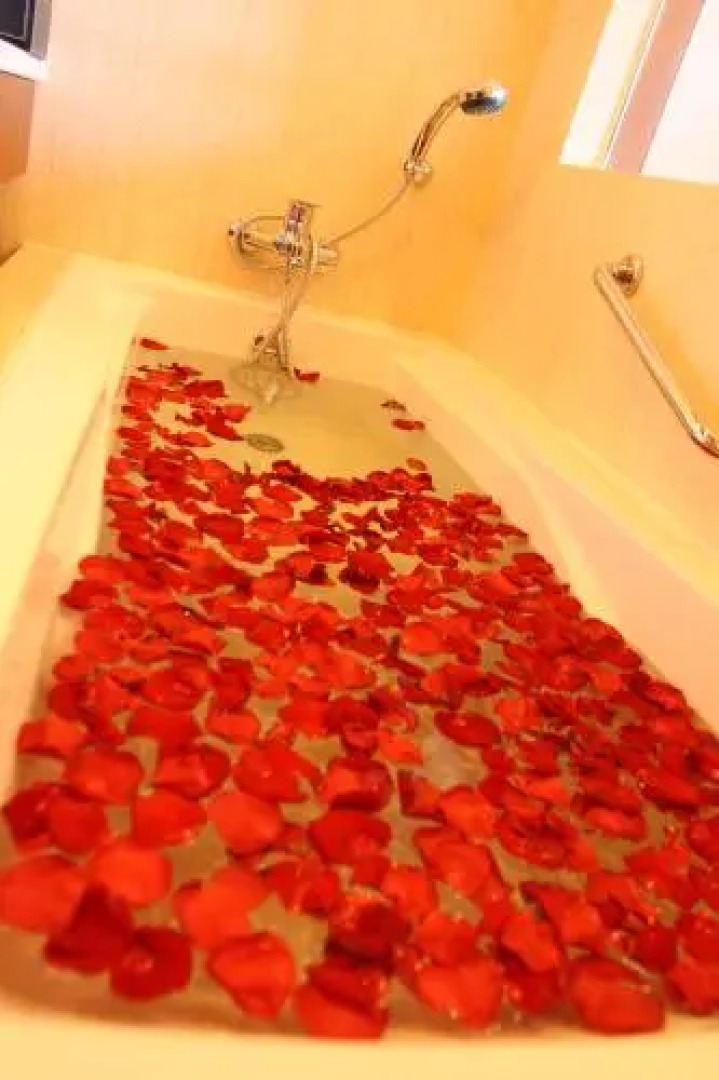 Wode Pension Holiday Hotel