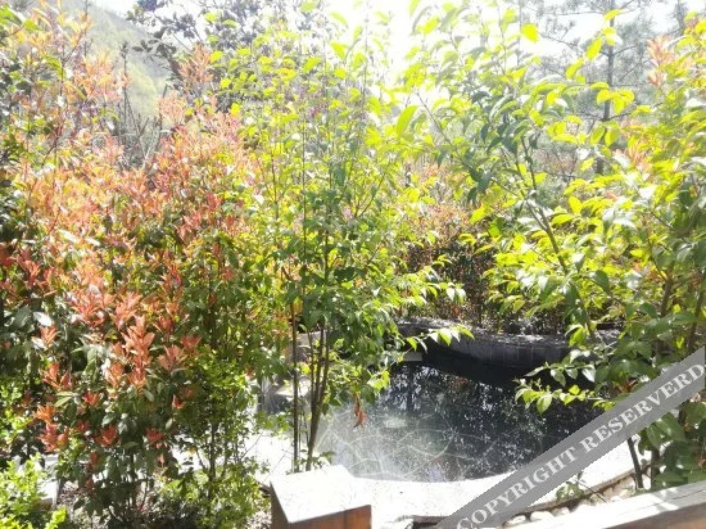 Yihe Funiu Shanju Hot Spring  Hotel