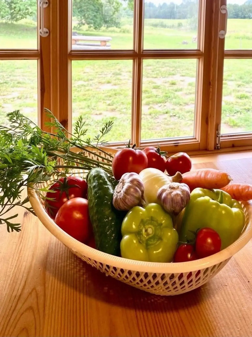 Хутора на озере Алё