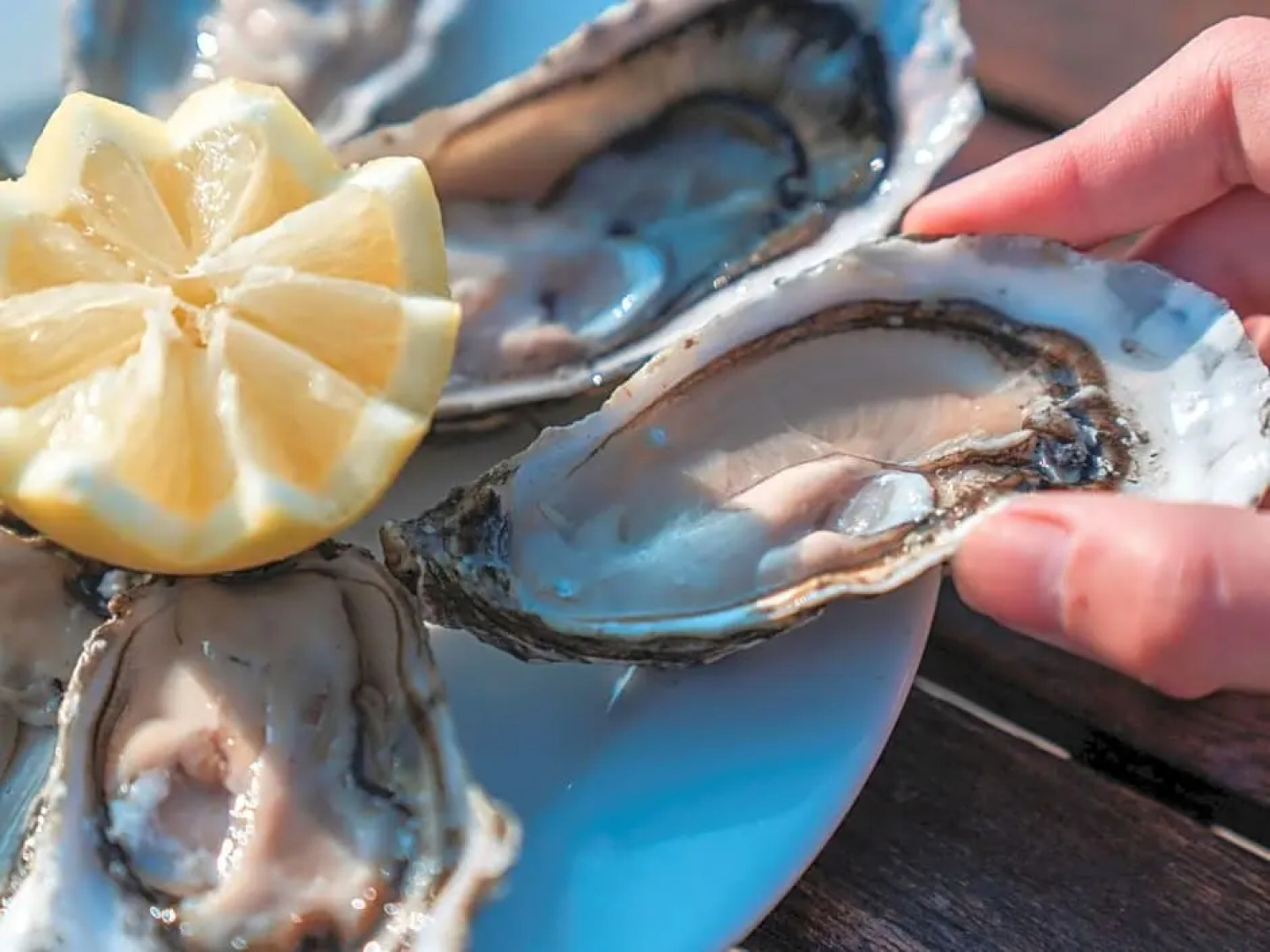 Novotel Thalassa Oleron Saint-Trojan