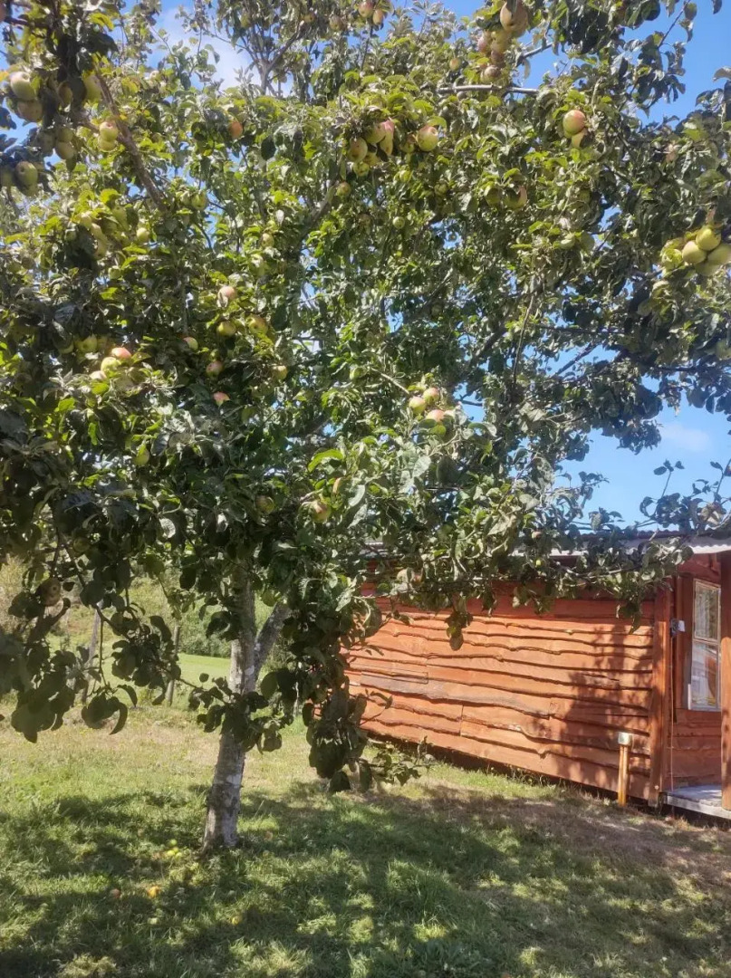 Cabanas Mandala Chamiza