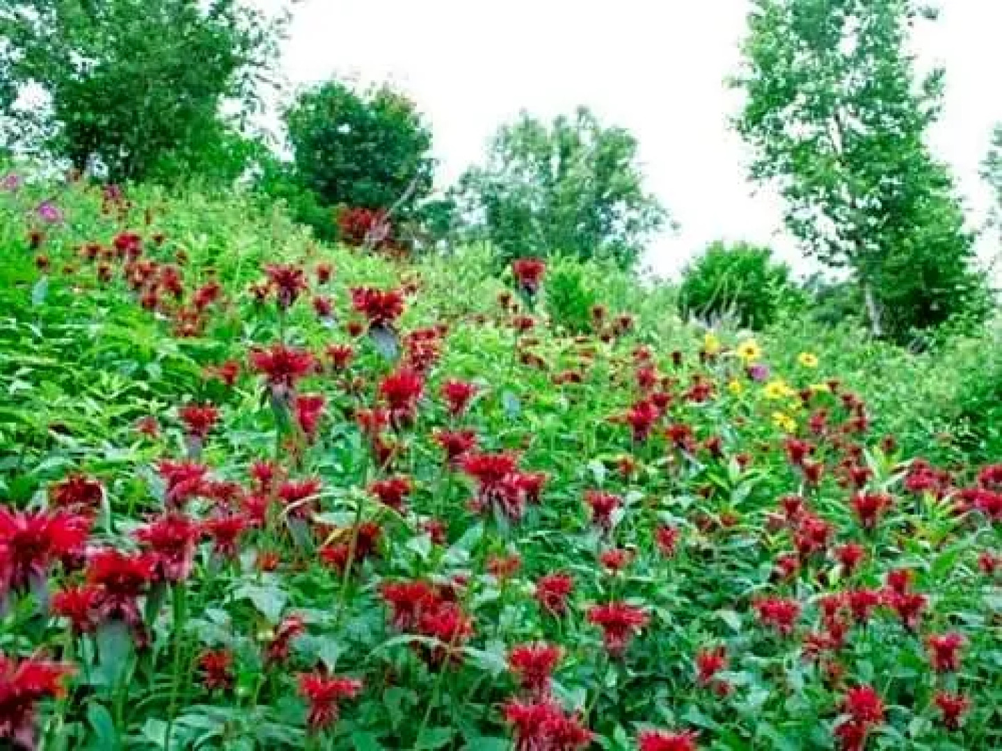 Takinoue Hotel Keikoku - Vacation STAY 32411v