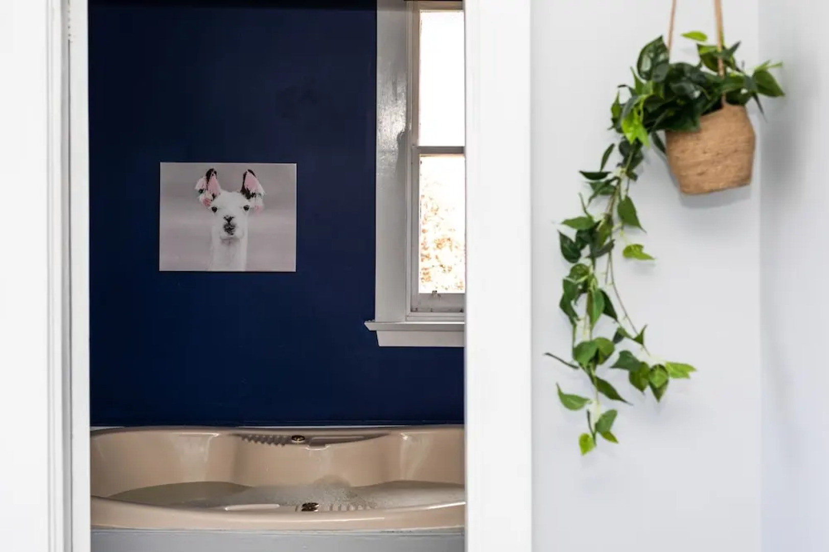 Отель The Dragonfly Inn