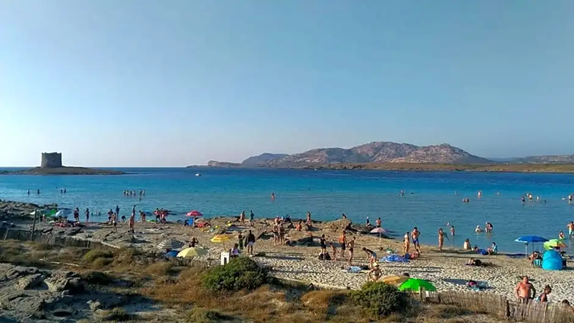 BB Il Gatto Pescatore