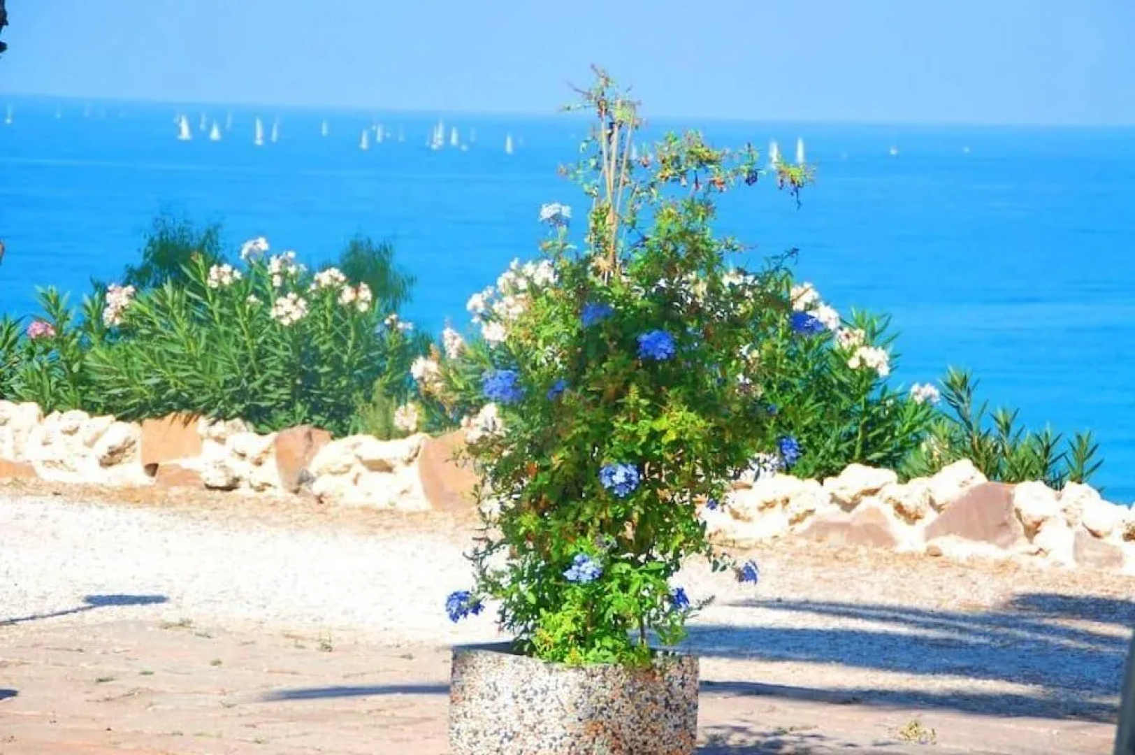 Turas Club Case Vacanze