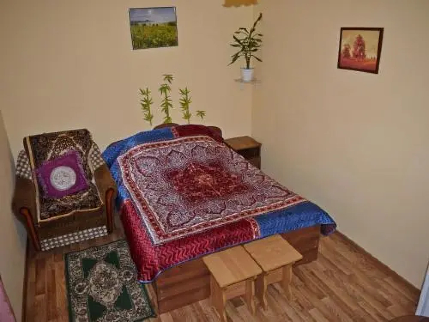 Guest house Dom Turista