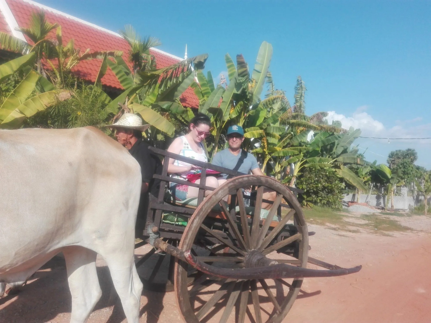Dontrei Villa Angkor
