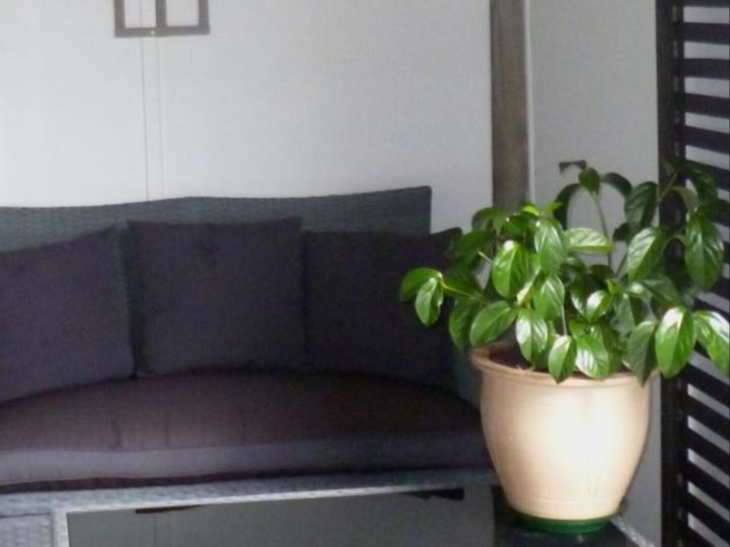 Opua Boutique Seaview Motel