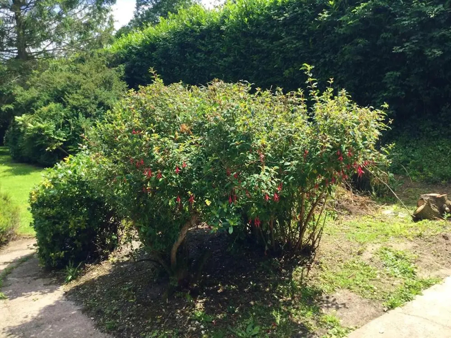 Apartment With 2 Bedrooms in Ingouville, With Enclosed Garden and Wifi