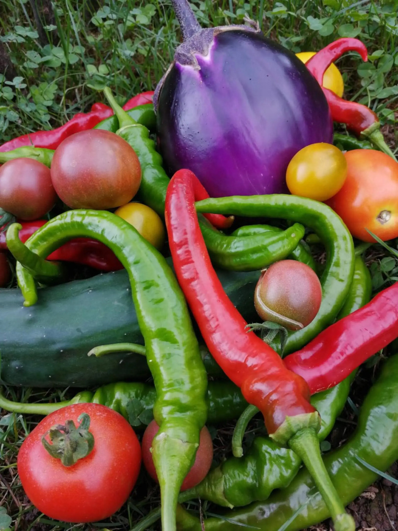 Logis Hotel Xoko-Goxoa