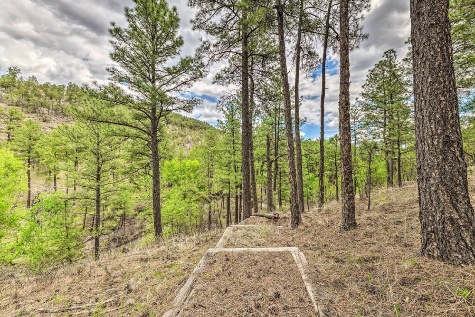 Spacious Ruidoso Retreat on 6 Gated Acres!