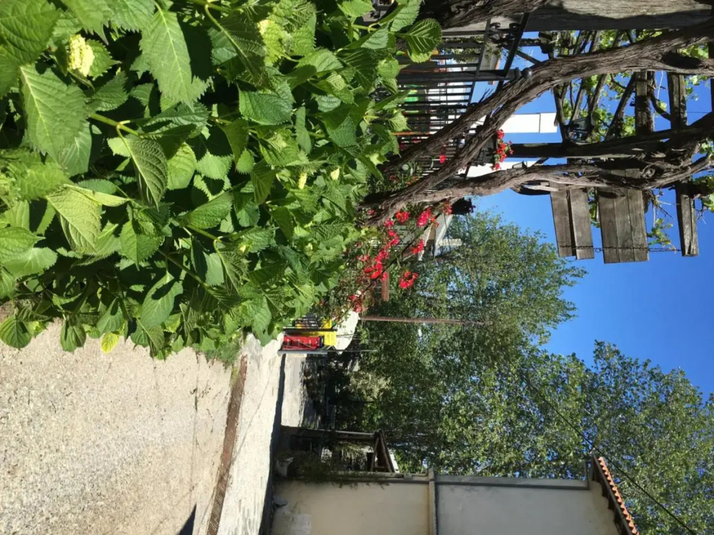 Sofia Rooms