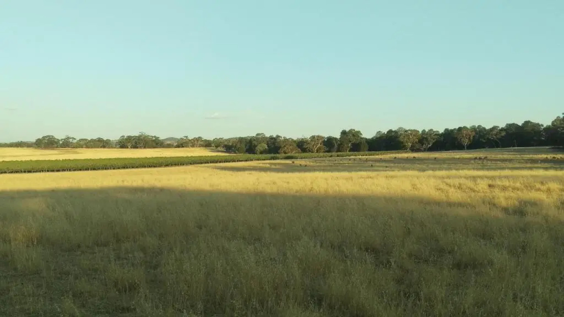 The Cottage at Riverside Farm