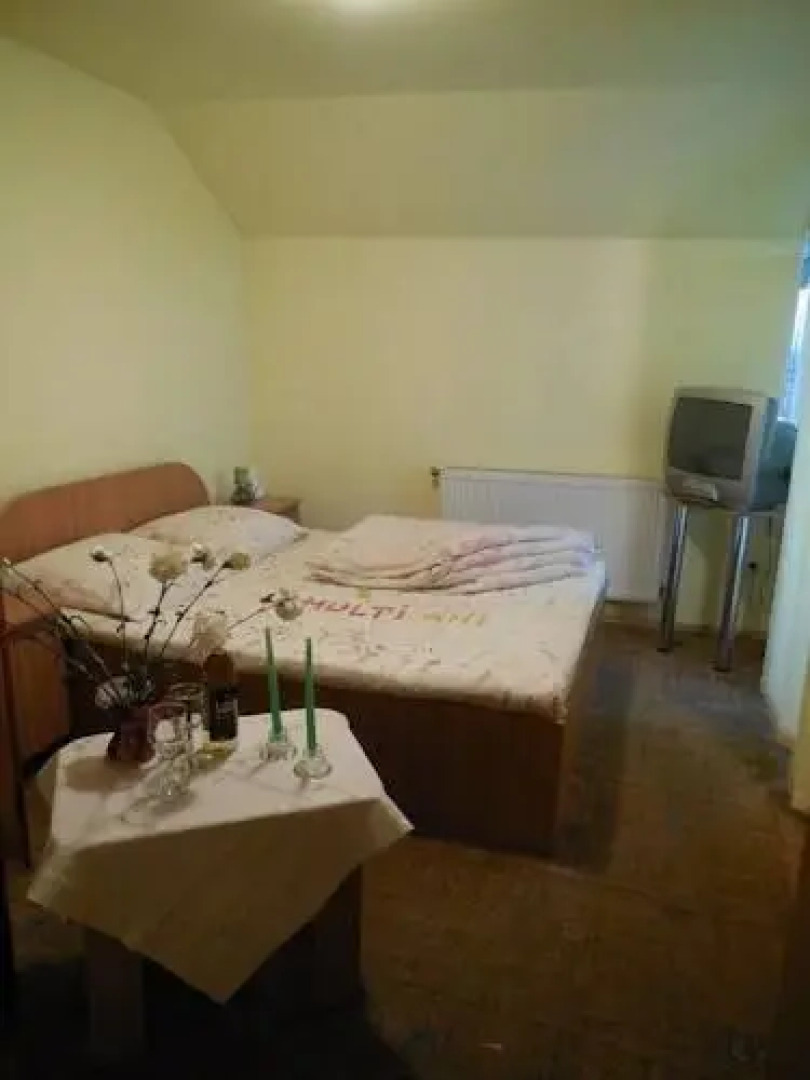 Pensiunea Floare de Colt